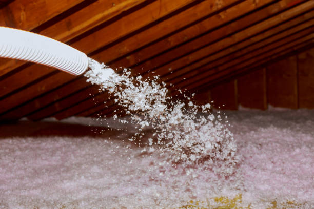 Best Residential Insulation in Marion, AL
